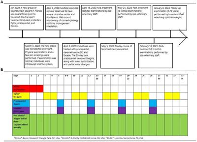 Case report: Management and long-term ophthalmic sequelae of monogenean ocular infestation in cownose rays (Rhinoptera bonasus)